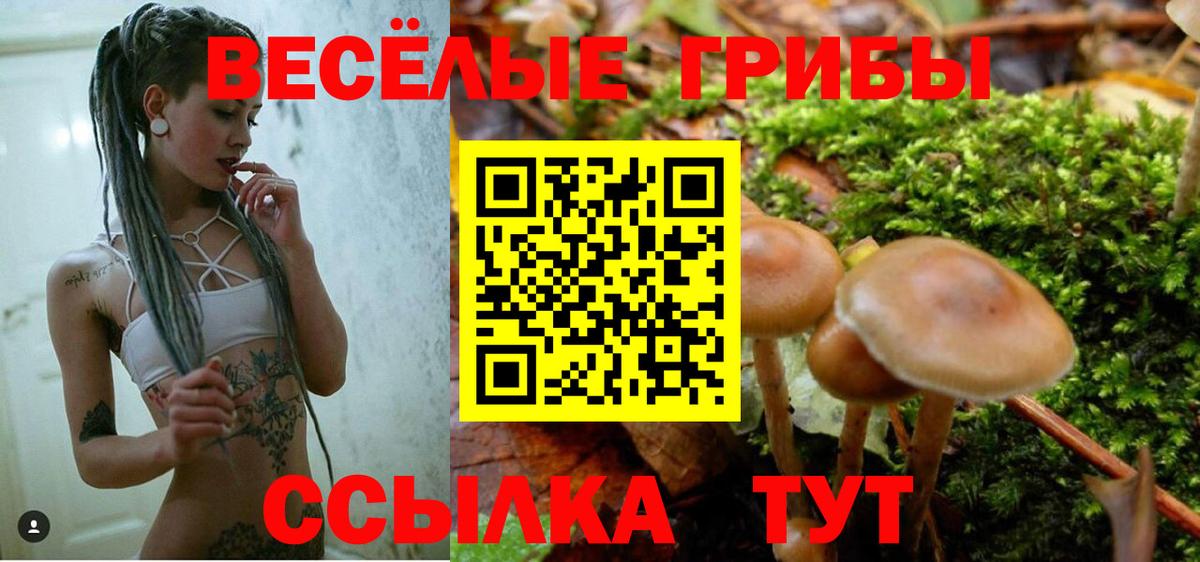 Псилоцибиновые грибы Psilocybe  Вход с VPN  Кимовск 
