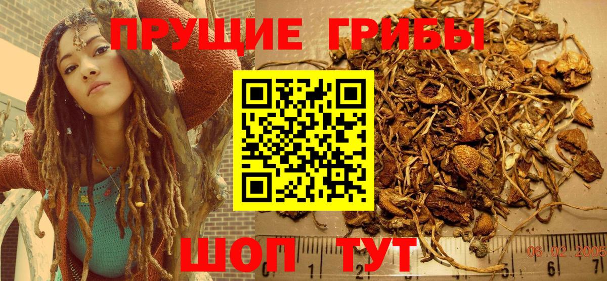 Галлюциногенные грибы прущие грибы Кимовск